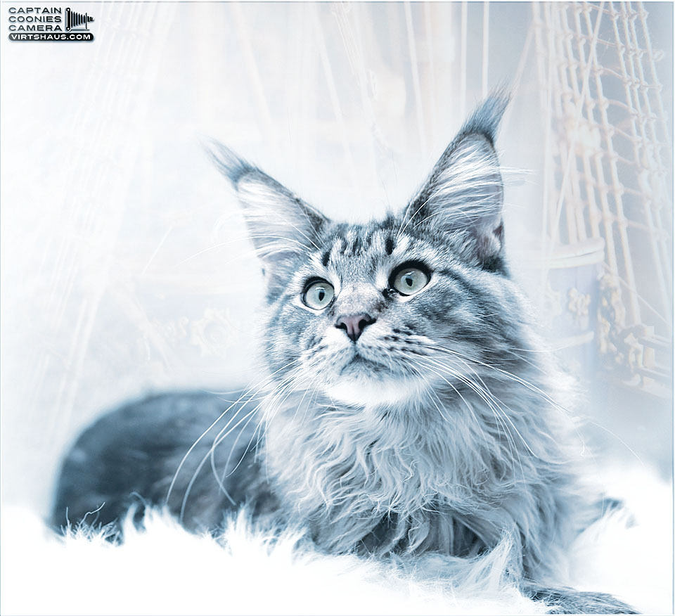 Distagon - "Blue Hour"